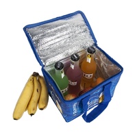 Sac glacière anti-fuite pour bière, pour glace, PP tissé