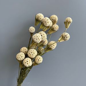 <span class=keywords><strong>Bouquet</strong></span> de boules de gomme douce séchées naturelles pour mariage bohème, douche nuptiale, arrangement floral, <span class=keywords><strong>d</strong></span>écoration <span class=keywords><strong>d</strong></span>'événements - Product Image 2
