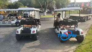 Véhicule tout-terrain à arbre 48/60/72V <span class=keywords><strong>4000W</strong></span> <span class=keywords><strong>Quad</strong></span> Bike Chariot de golf électrique - Product Image 4