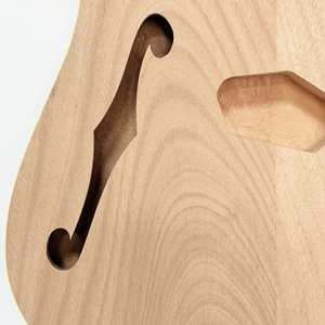 Guitarra Eléctrica Natura TL con Cuerpo de Caoba, Acabado Brillante, Empaque Personalizado y Pastillas Humbucker - Product Image 3