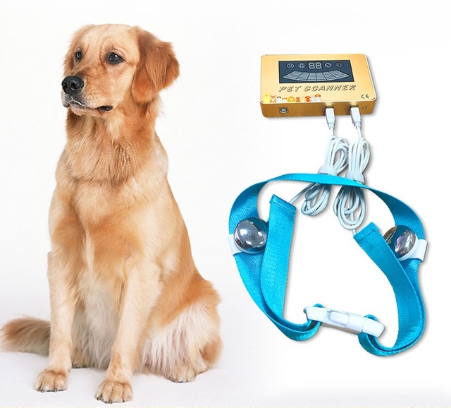 2026 New Arrival Pet Quantum Health Analyzer Home Use Quantum Magnetic Resonance Analyzer Pet Clinic Cats and Dogs