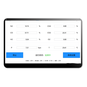 다중 성분 가스 분석기, 가스 성분 동시 온라인 분석 기계, 레이저 라만 분광법 가스 감지기 - Product Image 2