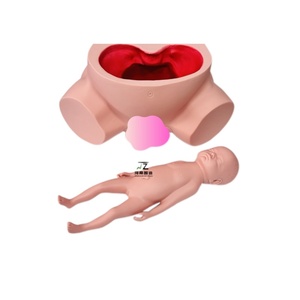 Mô hình đào tạo y tế sinh con mô hình đào tạo hộ sinh tiên tiến - Product Image 1