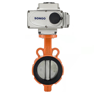 Conexión AC220V DN50 de 2 pulgadas, tipo hierro dúctil motorizado - Product Image 1