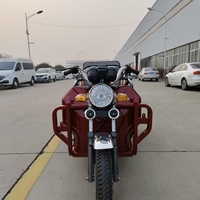 Scooter électrique léger et flexible à trois roues pour passagers, avec garde-corps de sécurité et cadre robuste pour une utilisation quotidienne.