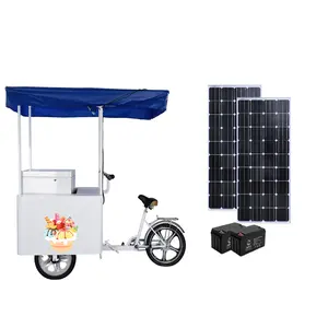 Factory Supplier ice cream tricycle dc 12 24V solar 108 litres freezer All in One commercial ice cream bike