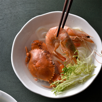 Bol à nouilles instantanées en céramique surdimensionnées, de style ramen, blanc pur, vaisselle d'hôtel