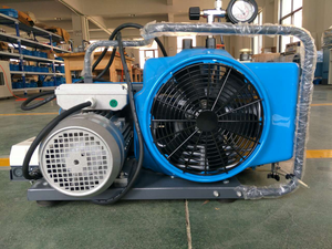 Hot Sale High <b>air</b> <b>Compressor</b> 100l 220V <b>Mini</b> Breathing <b>air</b> <b>Compressor</b> for - Product Image 3