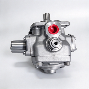 Pompe à palettes de remplacement pour système hydraulique de machine 02-PSP2-50-F-H-R-M, Pompe hydraulique 02-PSP1-25-F-H-R-M - Product Image 4