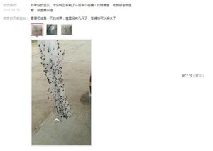 Persegi besar rumah tangga Fly membunuh pita serangga kontrol papan untuk mengusir lalat nyamuk hewan hama kertas bubuk - Product Image 6