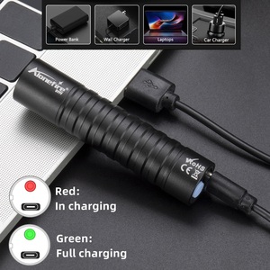 <span class=keywords><strong>Mini</strong></span> 365 & 395nm UV đèn pin <span class=keywords><strong>USB</strong></span> có thể sạc lại Blacklight Torch Cat Dog nước tiểu tinea đánh dấu tiền quặng Bọ Cạp rò rỉ kiểm tra đèn - Product Image 6