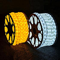 Guirlande lumineuse LED arc-en-ciel pour usage extérieur permanent, idéale pour les villas, les cours, les allées, les paysages et les décorations de Noël