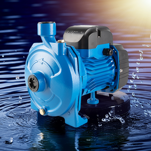 Bomba centrífuga de una etapa de baja presión para transferencia de agua limpia industrial y urbana, 0.37kW 0.55HP, IP54 CE - Product Image 1