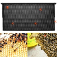 Neuer PP-Kunststoff Bienenrahmen 9,1 Zoll mit Grundzellen für Langstroth Deep Box Schwarze Bienenstockrahmen