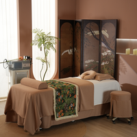 Ensemble de draps en flanelle de coton de première qualité marron clair épaissir couvre-lits de beauté Simple Salon de physiothérapie ensemble de lit draps