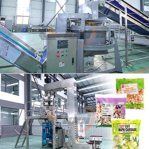 Machine automatique de découpe de salade de chicorée et de chou, lave-légumes centrifuge pour la ligne de production de salades - Product Image 4