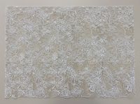 Tissu en tulle brodé de dentelle à mailles, motif floral en corde tressée, broderie de fleurs blanches pour robes de soirée et de mariée pour filles