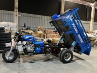 Tricycle motorisé 200cc, véhicule à 3 roues pour le transport de marchandises, alimenté à l'essence, pour Apsonic