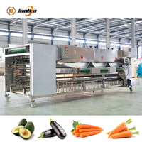 Roltype wortelsorteermachine, avocado- en auberginesorteermachine, wortelsorteermachine, groente- en fruitsorteermachine