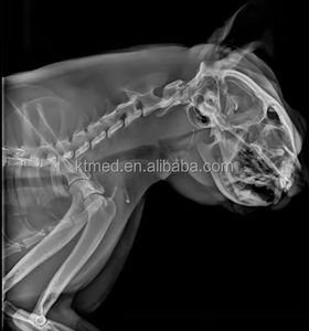 EUR VET Vetist pemindai Ct baja 3 Model, sistem CG perlengkapan radiologi hewan peliharaan pasien tomografi komputasi medis - Product Image 6