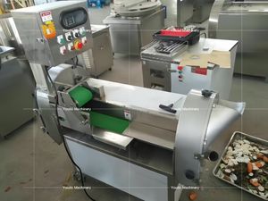 Machine de traitement de légumes Ligne de lavage de laitue Ligne de lavage de fruits Tomates Légumes - Product Image 5