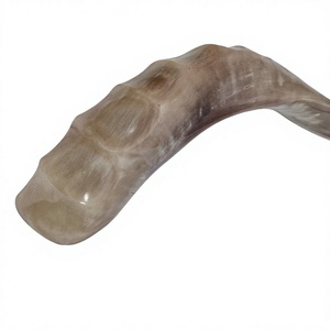 Shofar artisanal en corne de bélier naturelle, instrument brut au toucher authentique, artisanat religieux traditionnel et décoration intérieure - Product Image 6