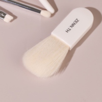 Ensemble de pinceaux de maquillage professionnels pour les voyages, personnalisation privée, pinceaux pour le fond de teint, le blush et les yeux, pinceaux compacts portables et pratiques