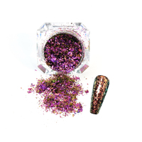 Super Flash Caméléon Multi-Chrome Miroir Porcelaine 1g Magnétique Taille de Particules Grosses Maille pour Nail Art Gel Ongles Poudre Acrylique