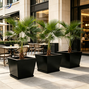 Maceta Cuadrada de Metal ML, Moderna y Minimalista, con Recubrimiento en Polvo Negro, para Plantas de Jardín - Product Image 3