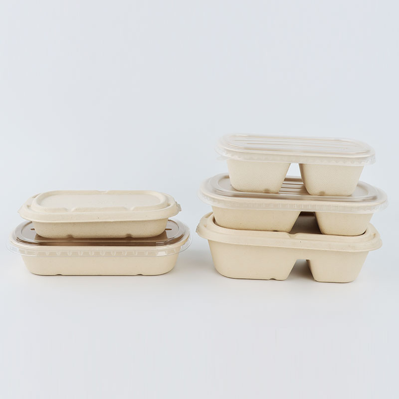 Bagasse Fiber 100% Biodegradable Lunch Box Bento Clamshell Containers With Divisions Take Out Fast Food Packaging Paper Boxes