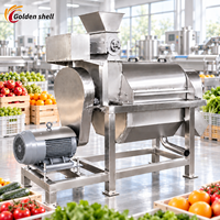 Meilleur prix pour une machine à écraser les fruits, équipement d'usine de jus de fruits Goldenshell, faible coût d'entretien, haute vitesse