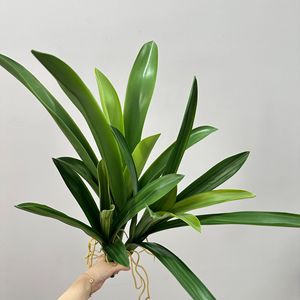 Hojas de orquídea Cymbidium Meng Jie, planta artificial, hojas con bordes blancos para el hogar, sala de estar, arreglos florales - Product Image 2