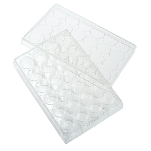 Microplates <span class=keywords><strong>6</strong></span> 12 24 48 96 Lubang Lubang Jaringan <span class=keywords><strong>Cell</strong></span> <span class=keywords><strong>Culture</strong></span> <span class=keywords><strong>Plate</strong></span> dengan TC Diobati - Product Image 3