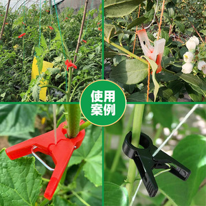 Abrazaderas para plantas, abrazaderas de plástico para plantas de invernadero, verduras y frutas, y abrazaderas para fijar tomates, melones y - Product Image 3
