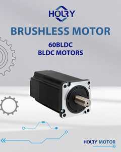 Hiệu quả năng lượng cao động cơ không chổi than 60mm nema24 inrunner hội trường cảm biến 100W 200W 300W 400W 24V 48V BLDC động cơ không chổi than DC động cơ - Product Image 5