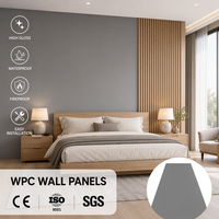Panneau mural en PVC inodore, ignifuge, personnalisé, pour décoration commerciale, salle de sport, chambre d'enfant