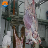 Dénudeur de peau de bétail à cadre en acier inoxydable, équipement automatique de dépecage pour ligne d'abattage de bovins en abattoir