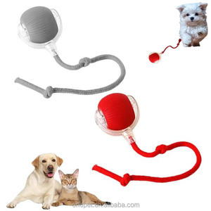 Jouet USB intelligent pour chat en cours d'exécution balle roulante à saut automatique jouet interactif et à mouvement pour animaux de compagnie - Product Image 1