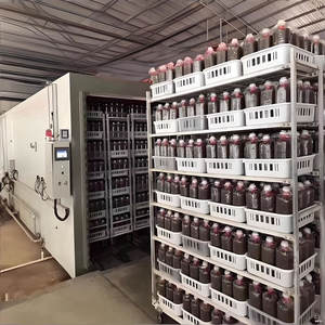 Autoclave industriel intelligent pour la stérilisation des sacs de culture de champignons, stérilisateur de blocs de champignons grande capacité, taille personnalisée - Product Image 4