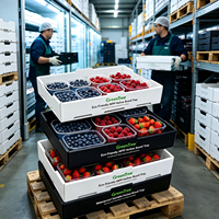 Op maat bedrukte PP holle plaat fruit- en groenteverpakking, opvouwbaar, herbruikbaar, stapelbaar, gegolfd plastic bakje voor vlees en rijst