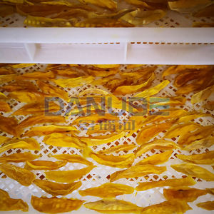 Approvisionnement immédiat : Chambres de séchage d'ananas, Déshumidificateurs de mangues, Équipements de transformation, Machine de séchage d'oranges - Product Image 4