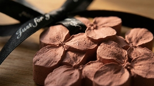 Vintage Red Lucky Gypsum Aromatherapy Expanded Stone Home Wardrobe <b>Car</b> Aromatherapy <b>Tablet</b> Pendant - Product Image 4