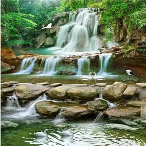 Lakeside gran bosque Natural casa de madera <span class=keywords><strong>papel</strong></span> <span class=keywords><strong>tapiz</strong></span> Peel Stick diseño moderno estilo <span class=keywords><strong>tapiz</strong></span> para dormitorio decoración del hogar Mural - Product Image 3