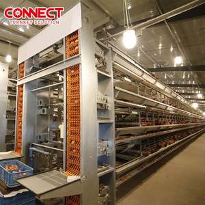 Machine de ligne d'alimentation automatique à grande échelle système de cages à poulet en batterie pour volailles et oiseaux - Product Image 2