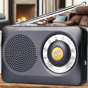 Özelleştirilebilir W-201 radyo/çift bant güçlü sinyal. Klasik radyolar için yeni bir seçim - Product Image 2