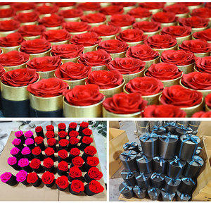 <span class=keywords><strong>Fleur</strong></span> Naturelle Éternelle de Haute Qualité, Rose Préservée Longue Durée en Boîte, Cadeau pour la Fête des Mères et la Saint-Valentin - Product Image 3