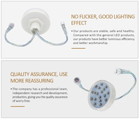 Innovador controlador de luz LED de píxeles E14 de 60mm para parques temáticos, jardines, parque de atracciones, decoración de parques de atracciones, luces de punto clasificadas IP65