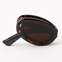 Nouvelles Lunettes de Soleil Tendance OEM, Monture Complète, Style Œil de Chat, Protection UV400, Monture PC, Verres AC, Couleurs Pantone, Unisexe, Personnalisables, Adulte