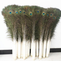 Plume de paon naturelle véritable 100-110 CM, plumes à grands yeux pour bijoux DIY, décoration intérieure, plume de paon