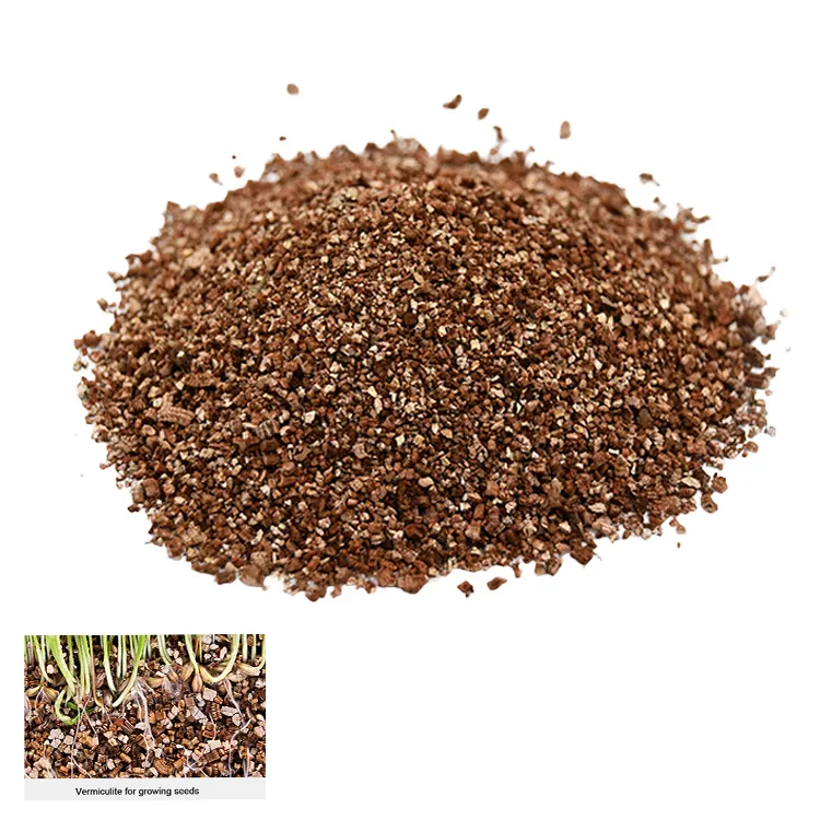 Vermiculite expansée poudre